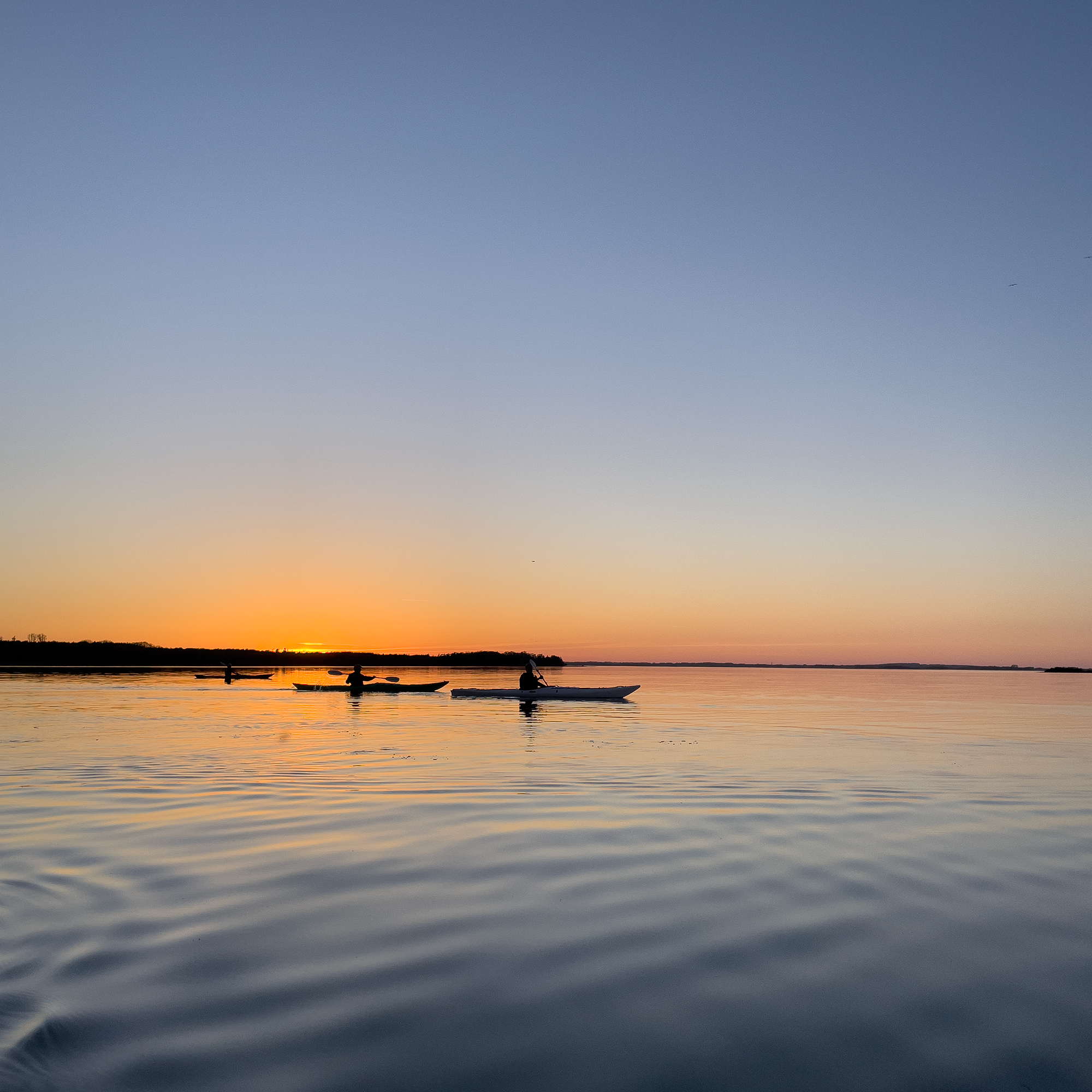 Aften kajaktur | Onsdage <br>kl 17.00-20.00 | Roskilde fjord - Billede 2