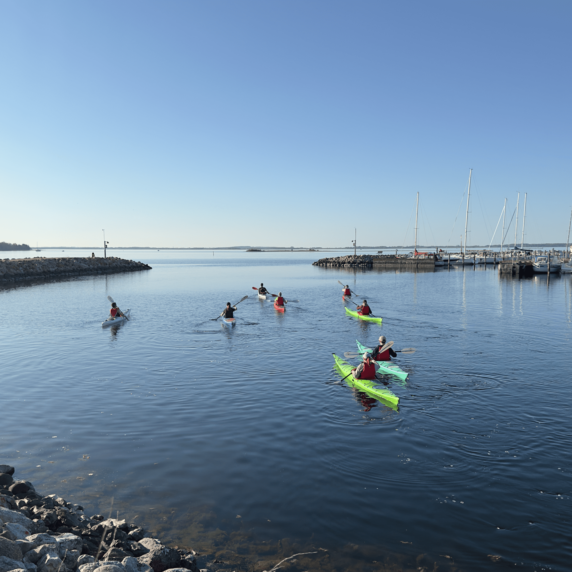 Dagstur kajak <br> kl 10-16 | Roskilde fjord